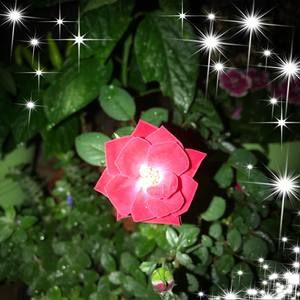 Meet your Posher, Oanh